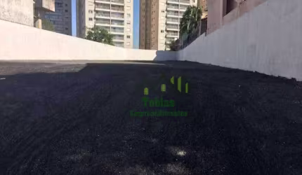 Terreno à venda, 738 m² por R$ 1.300.000,00 - Jardim São Paulo - São Bernardo do Campo/SP