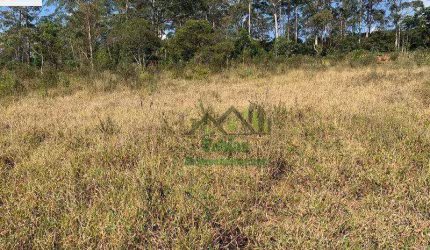 Área à venda, 25000 m² por R$ 8.000.000,00 - Vila Carmosina - São Paulo/SP