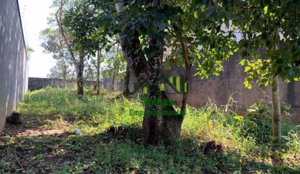 Terreno à venda, 330 m² por R$ 490.000,00 - Yara Praia - São Bernardo do Campo/SP