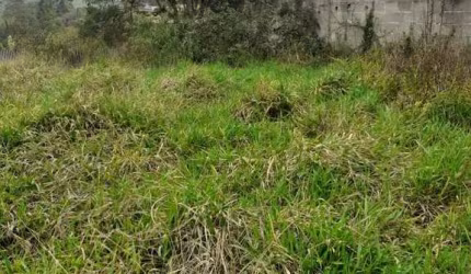 Terreno à venda, 1500 m² por R$ 200.000,00 - Quinta Divisão - Suzano/SP