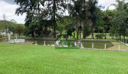 Sítio com 2 dormitórios à venda, 32000 m² por R$ 1.700.000,00 - Recreio Bela Vista - Suzano/SP