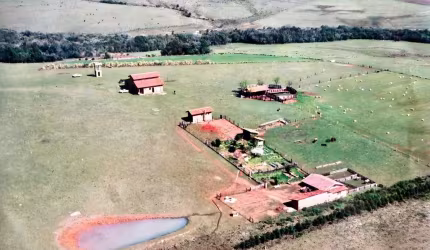 R$ 22.000.000 - MARAVILHOSA PROPRIEDADE RURAL - 250HA - PECUÁRIA - CULTIVO DE SOJA