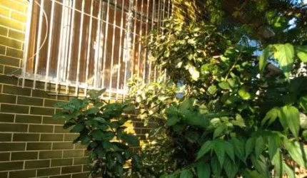 Casa para venda frente de rua em Anchieta com + 2 imóveis prontos nos fundos