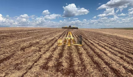 Fazenda para Venda na Região de Maracajú - Guia Lopes - MS - Confira!!!!