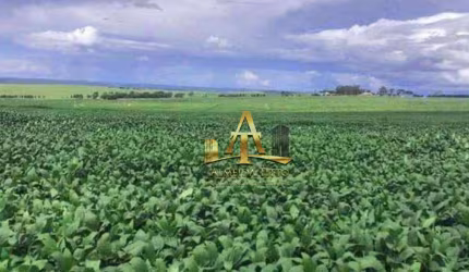 Fazenda para Venda na Região de Chapadão do Céu - GO - OPORTUNIDADE !!!!.