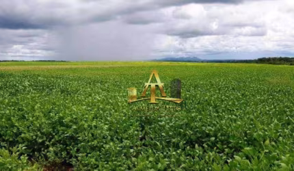 Fazenda à Venda na Região de Carolina/MA