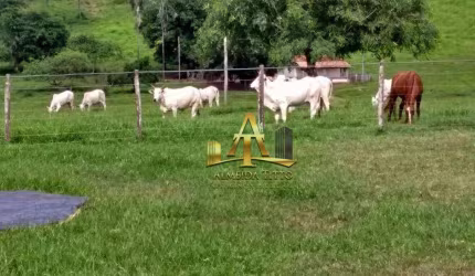 Fazenda à Venda para Cria e Recria - Pedra Preta - MT