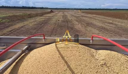 Fazenda à venda na região do Araguaia Pará - PA