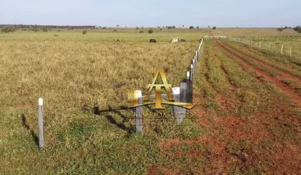 Fazenda na Pecuária  à venda - Zona Rural - Campo Grande/MS