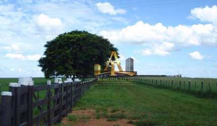 Fazenda à Venda na Região de Marilia - São Paulo
