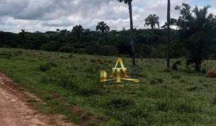 Fazenda à Venda - Zona Rural - Paraiso Das Águas/MS