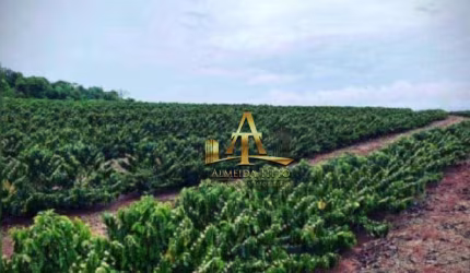 Fazenda à Venda - Zona Rural - Ibiá/MG