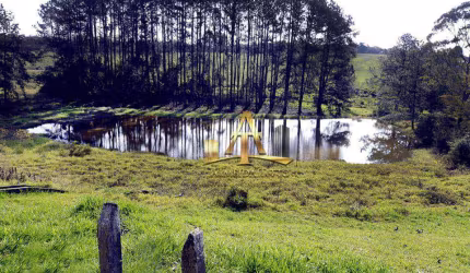 Terreno à venda, 200 m² por R$ 172.000,00 - Dos Pereiras - Cotia/SP