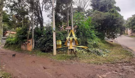 Terreno à venda, 530 m² por R$ 150.000,00 - Pununduva - Cotia/SP