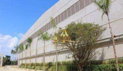 Galpão para Locação com 2927 m² -  Santana de Parnaíba/SP.