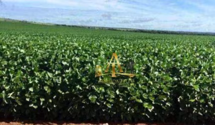 Fazenda à venda na região de Confresa - MT.