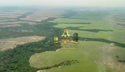 Fazenda à Venda - Zona Rural - Paranatinga/MT