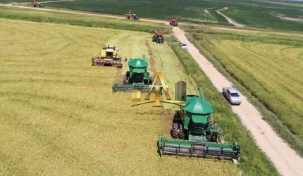 Fazenda à venda de Soja/Arroz/Pecuária - São Gabriel/RS