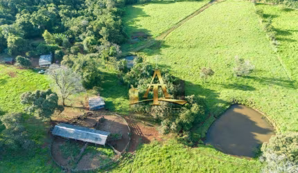 Fazenda à Venda - Zona Rural - Palmital/PR