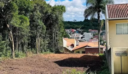 Terreno Jd Nezita prox. Jardim Paulista