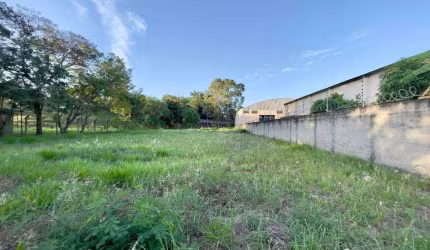 LOTE COMERCIAL ROLANDIA