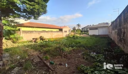 Terreno Residencial à venda, Centro, Rolândia - TE0010.