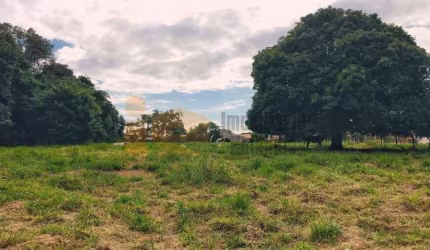 Terreno à venda, 6050 m² por R$ 2.630.000,00 - Jardim Santa Terezinha - Rolândia/PR