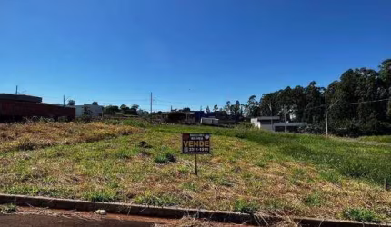 Terreno à venda, 300 m² por R$ 120.000,00 - Residencial Terra Nova - Rolândia/PR