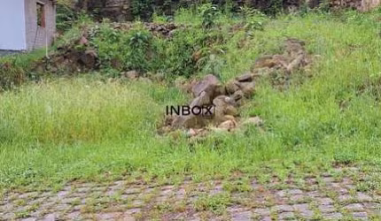 Inbox Cia Imobiliária vende terreno de 314m² no bairro Santa Terezinha em Garibaldi