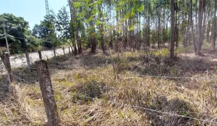 Terreno para Venda em São Pedro, Alpes das Águas