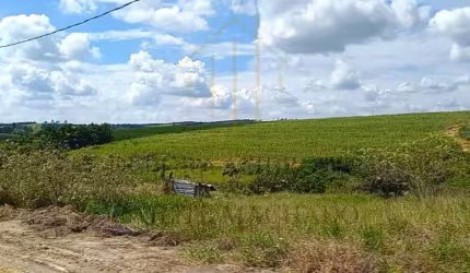 Terreno para Venda em São Pedro, Jardim Primavera