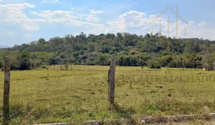 Terreno para Venda em São Pedro, Floresta Escura