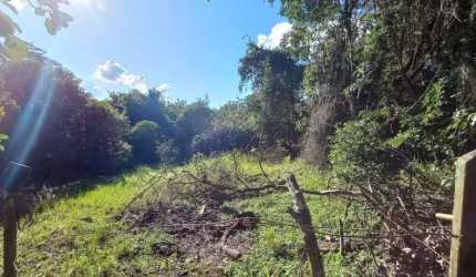 Terreno para Venda em São Pedro, Alpes das Águas