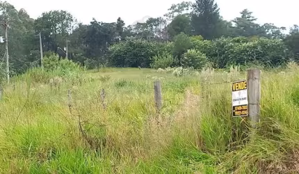 Terreno para Venda em São Pedro, Floresta Escura