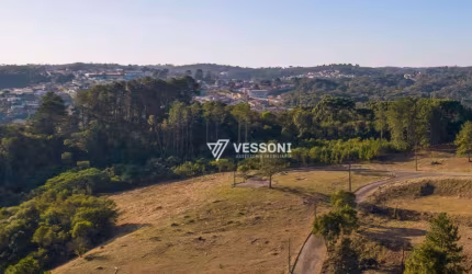 Terreno à venda, 764 m² por R$ 1.490.000,00 - Santa Felicidade - Curitiba/PR
