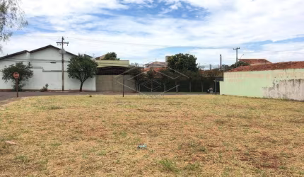 Terreno Padrão em Jaú
