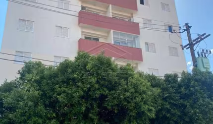 MIOSOTIS - COBERTURA VL. IPIRANGA - 02 DORM