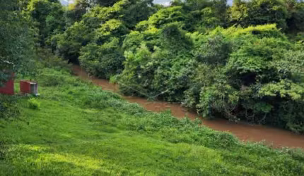 Fazenda à venda no Guaianás, Pederneiras , 37000 m2 por R$ 3.500.000