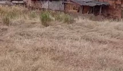 Terreno Padrão em Botucatu