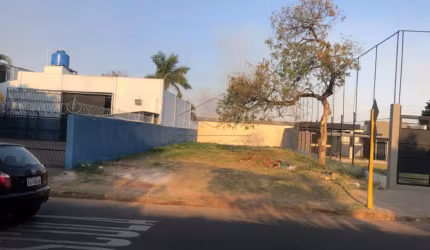 EXCELENTE LOTE NA FELICÍSSIMO
