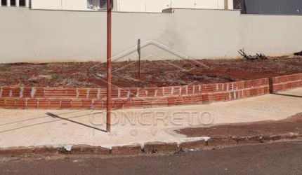 Terreno Padrão em Jaú