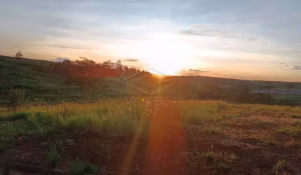 Terreno Padrão em Jaú