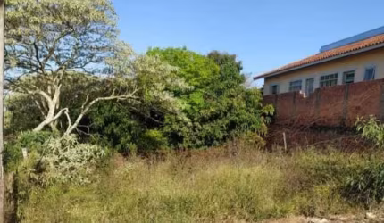 Terreno Padrão em Pardinho