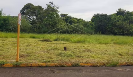 Terreno Padrão em Bauru