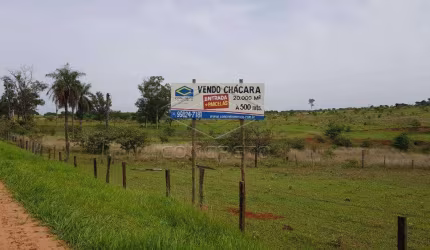 Área 20.000m² - Próximo ao Shinohara