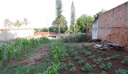 Terreno Padrão em Macatuba