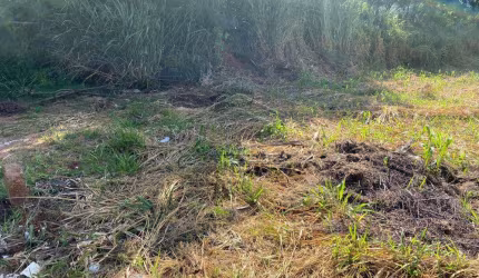 Terreno Padrão em Bauru