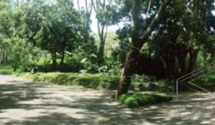 Terreno Padrão em Arealva