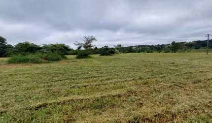 EXCELENTE LOTE NO PALMAS DEL REY