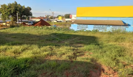 Terreno Padrão em Bauru